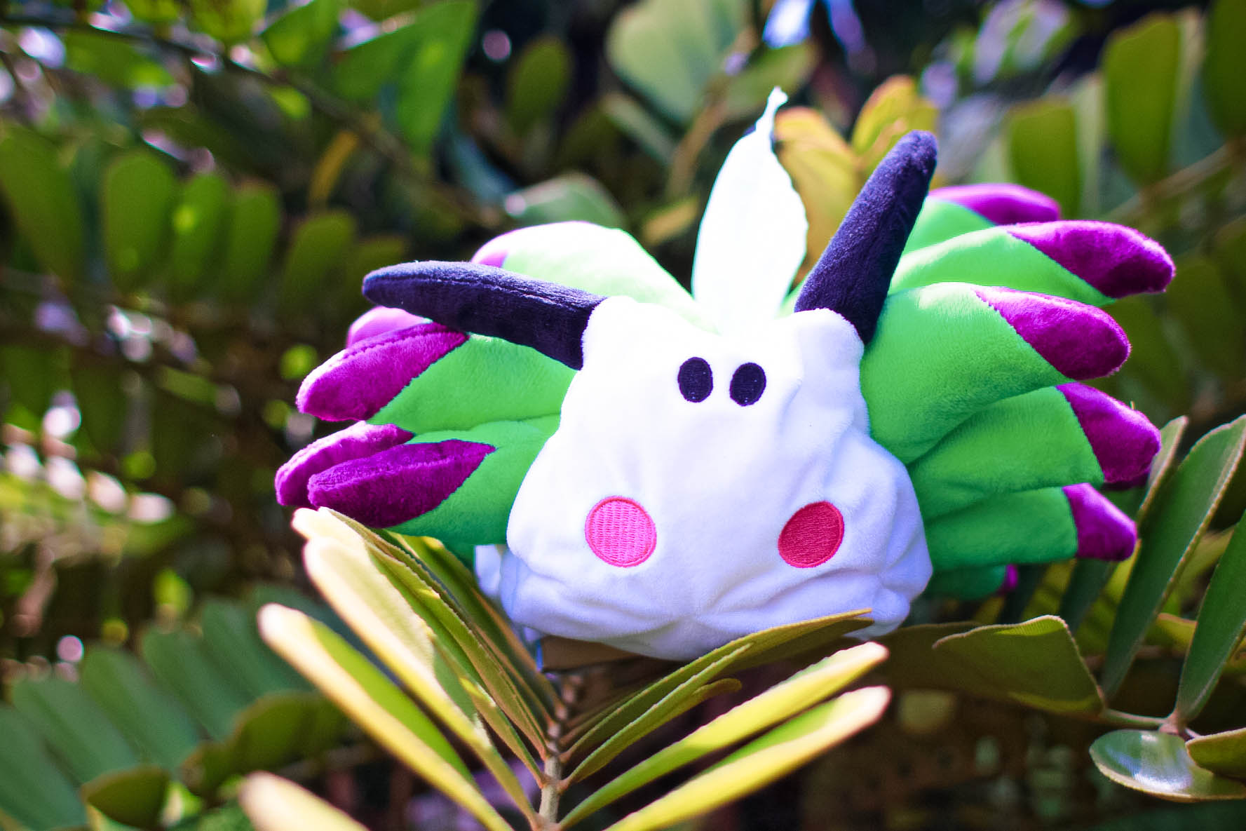 Seaslug Tissue Holder & Maskstrap