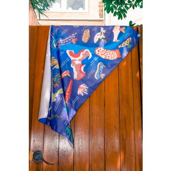 T01 Nudibranch identification *80cm x 140cm*