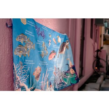 T05 Turtles & coral fish identification *80cm x 140cm*