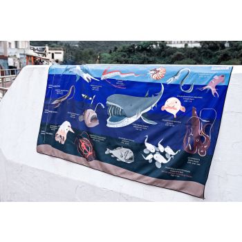 T07 deepsea marinelife dry towel *80cm x 140cm*