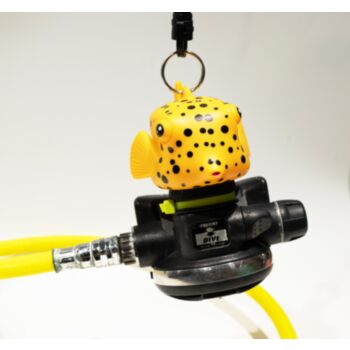 F05 Boxfish octopus holder